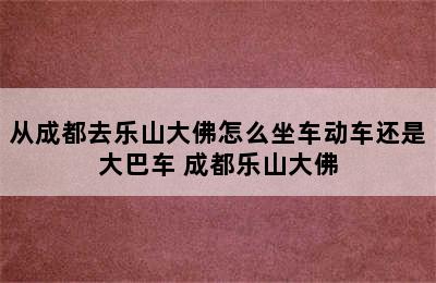 从成都去乐山大佛怎么坐车动车还是大巴车 成都乐山大佛